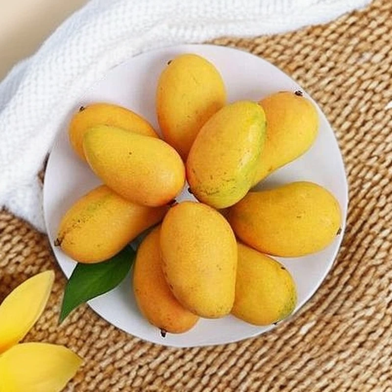 【大赛】全福品推荐芒果500g（拍一发三）