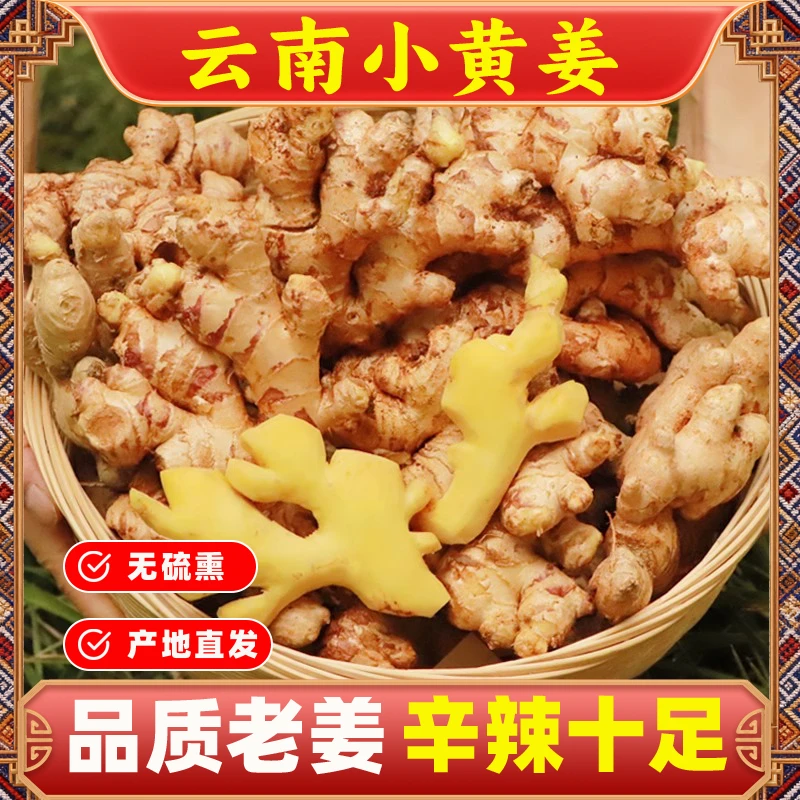 正宗云南小黄姜新鲜现挖香辣十足老姜可做月子姜整箱带泥保鲜发货