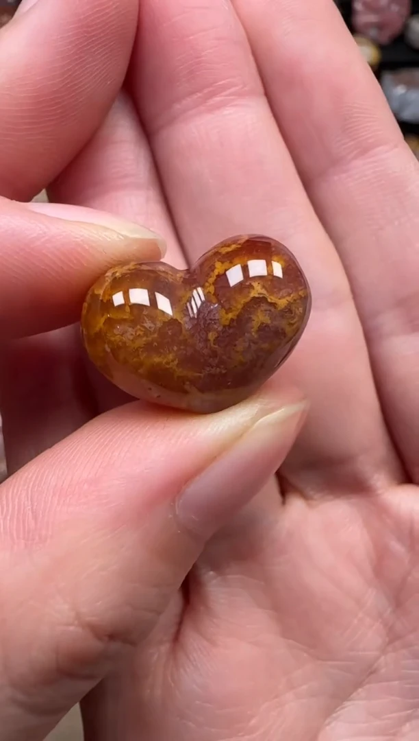 颈饰未镶嵌硅化珊瑚（珊瑚玉）637