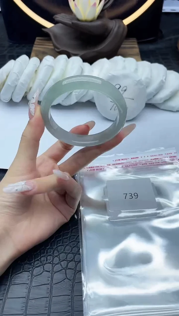 未镶嵌手镯翡翠翡翠手镯一物一图739