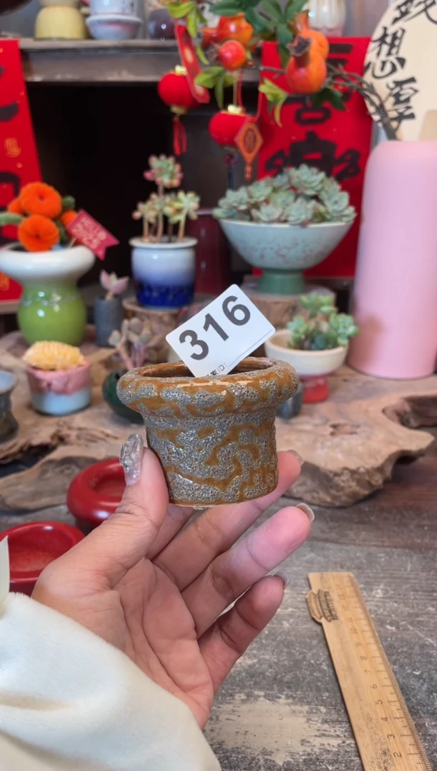 【闪购商品】摆件316知木小芳花盆