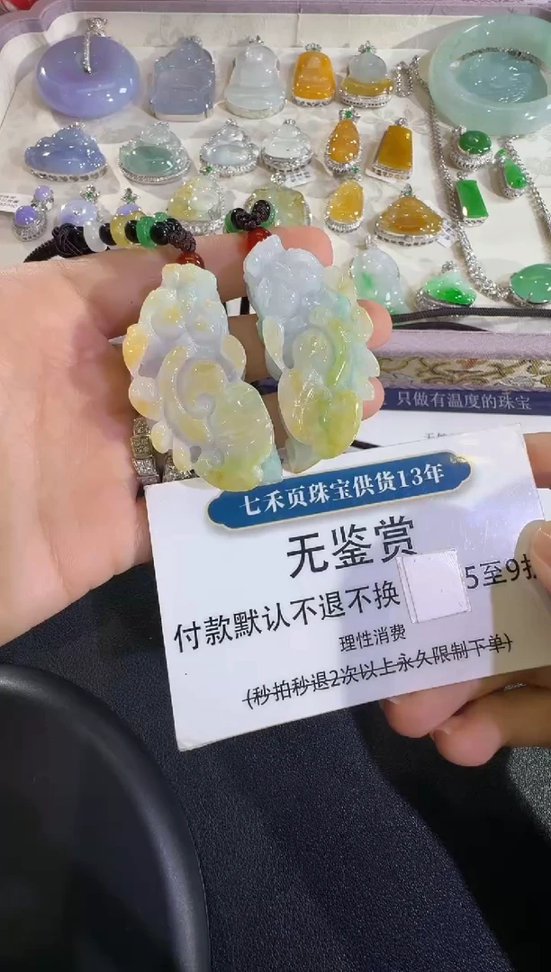 颈饰未镶嵌翡翠不退换无鉴赏一对貔貅