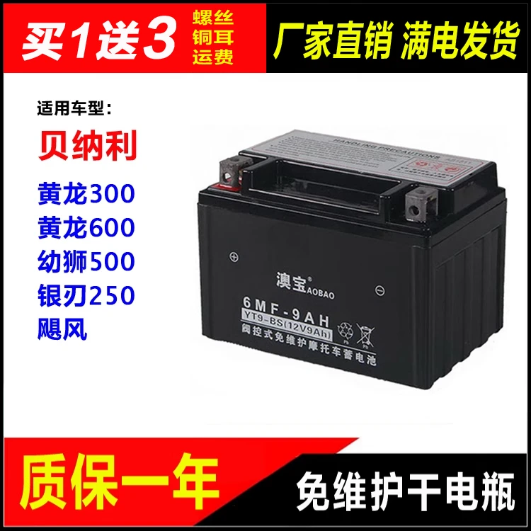 摩托车干电瓶贝纳利黄龙300 黄龙600 幼狮500 银刃250 飓风蓄电池