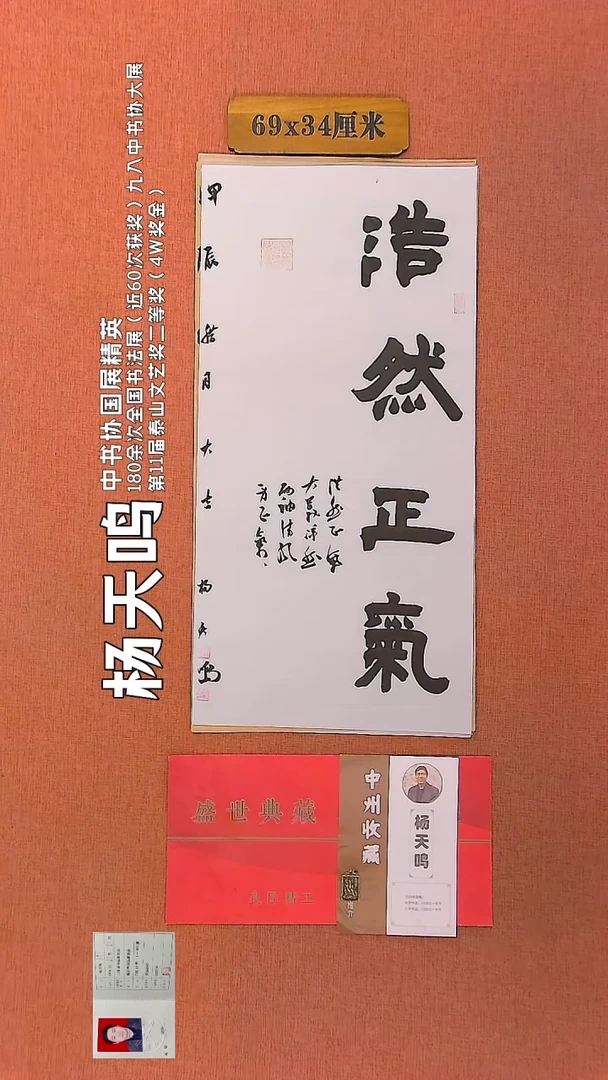 【闪购商品】书法24        杨天鸣书法作品