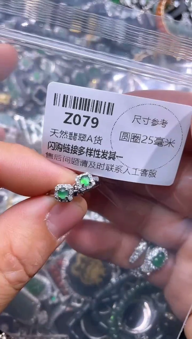 【闪购商品】翡翠颈饰未镶嵌Z079耳扣