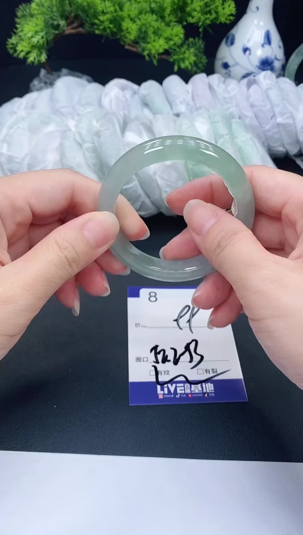 未镶嵌手镯翡翠8
