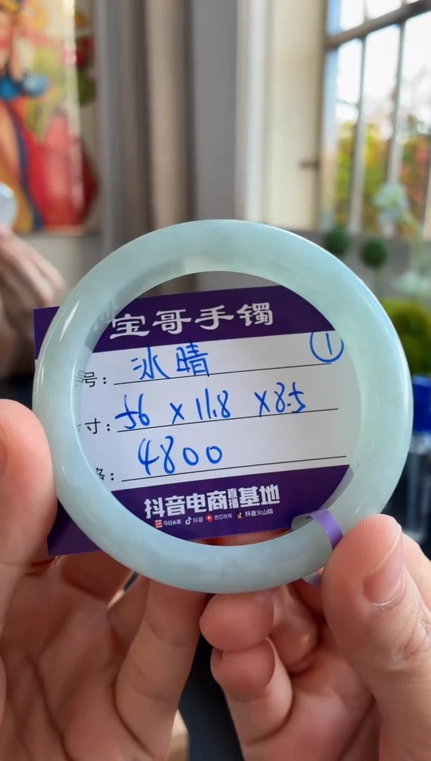 未镶嵌手镯翡翠翡翠手镯1号