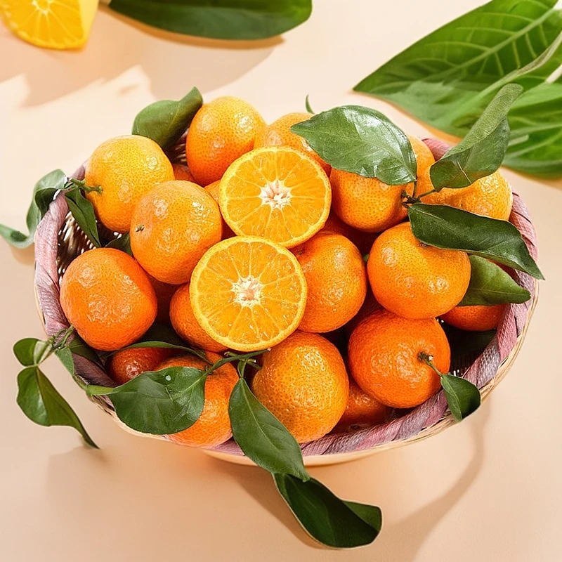 广西沙糖橘带框10斤装新鲜精品 净重7.5斤左右