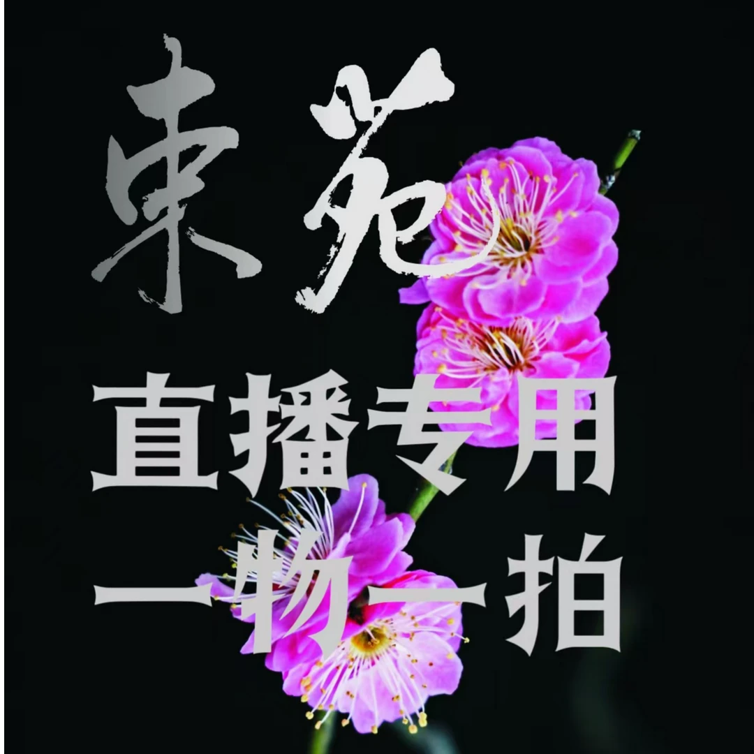 大别山束苑非遗盆景（一物一拍，运费到付）