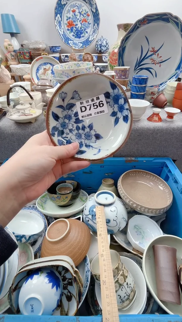 日式?****术默认微瑕秋羽D756