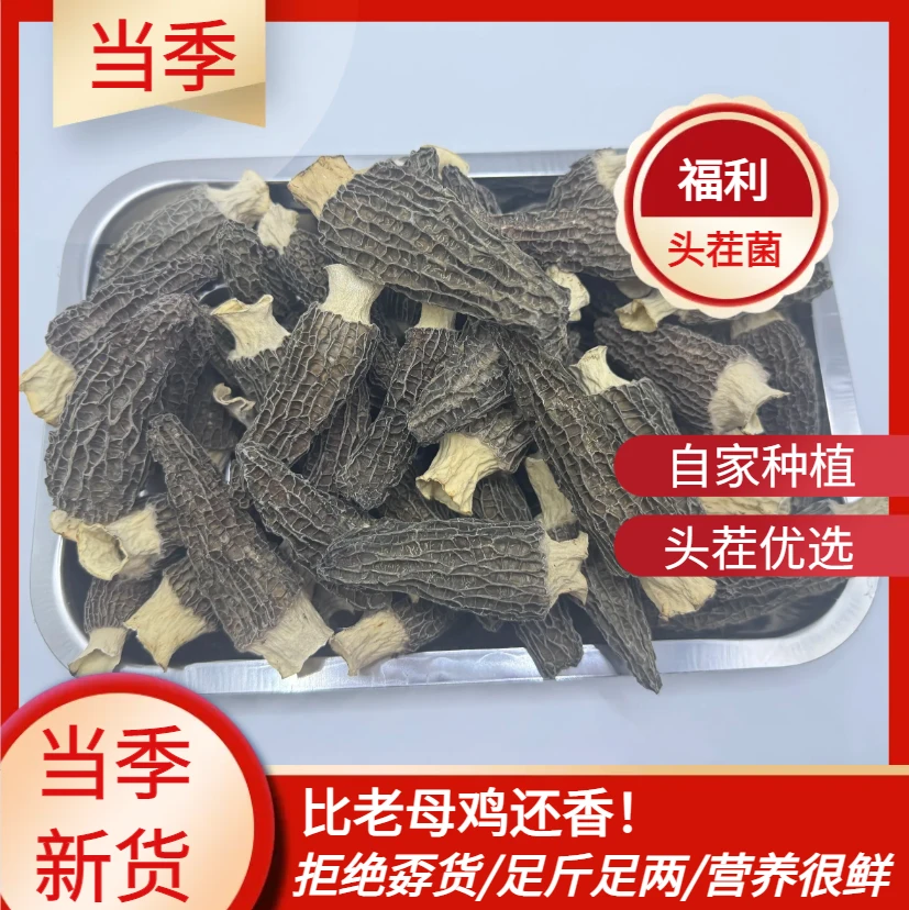 【大老黑菌净重】徐州头茬羊肚菌干货炖汤新鲜火锅煲汤食材2025年菇