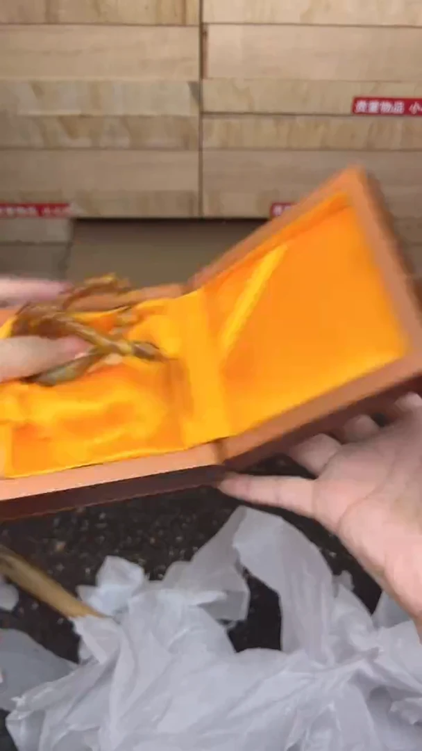 金丝海柳双圈@@sp366