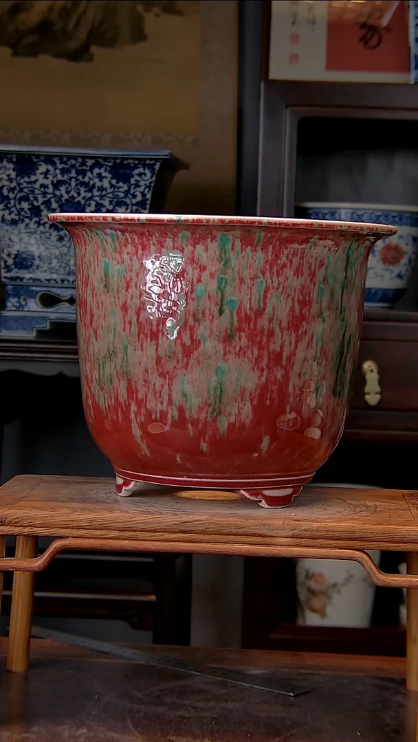 【闪购商品】红陶1