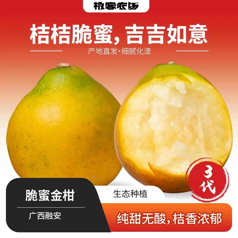 融安金桔 脆蜜金柑纯甜无酸 果皮脆硬 1.5斤几乎无籽新鲜采摘发货