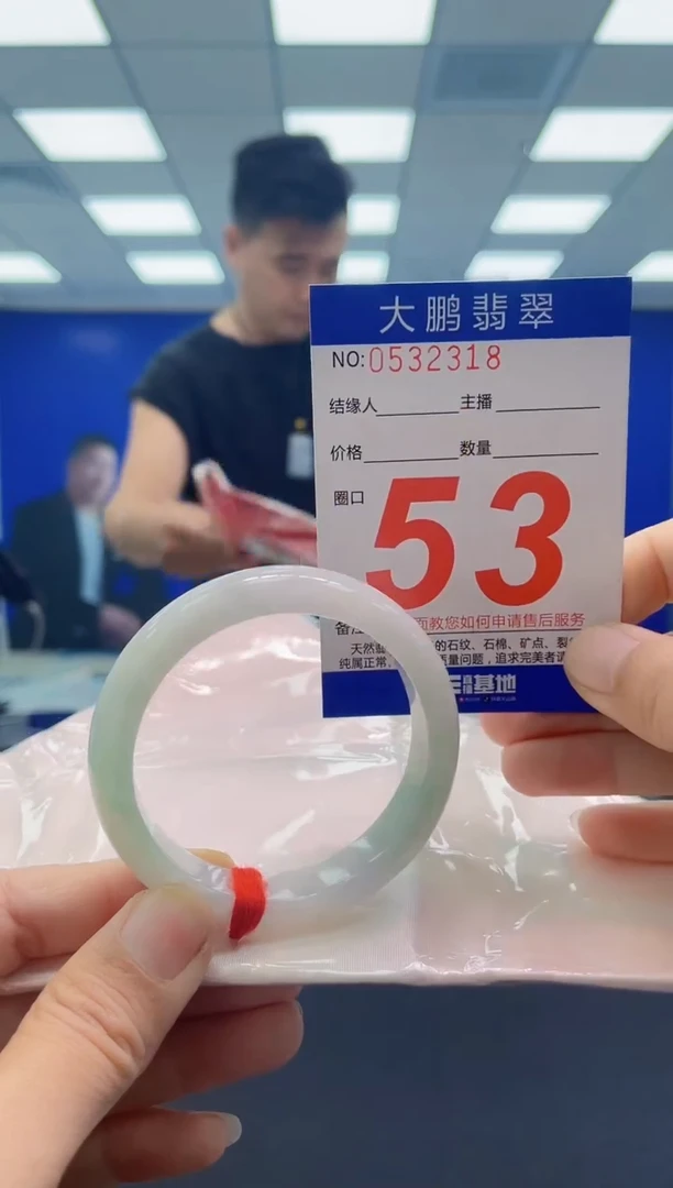 未镶嵌手镯翡翠AAAAAAAAAA