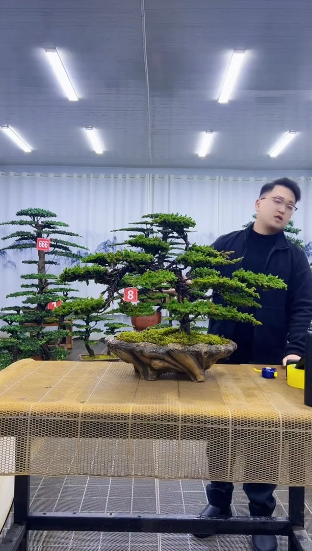 无花朵0000000000000000000