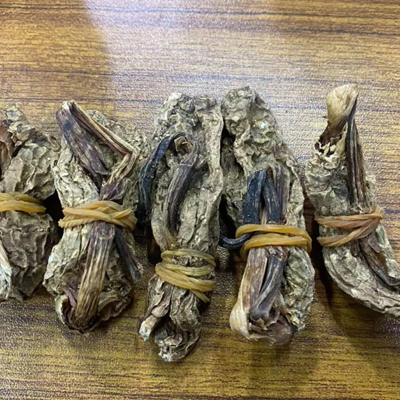 云南乌天麻   乌天麻