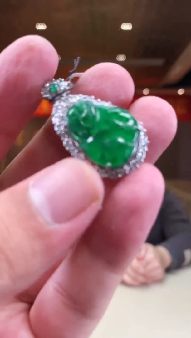 【闪购商品】翡翠颈饰未镶嵌             *98