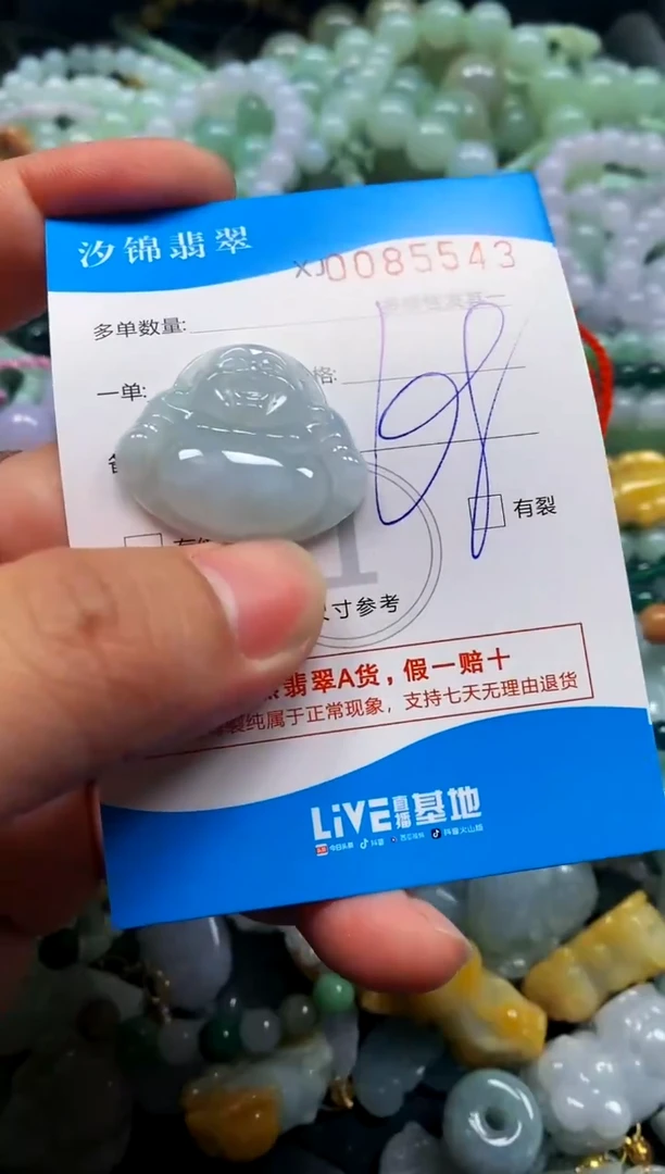 颈饰未镶嵌翡翠闪购商品0085543