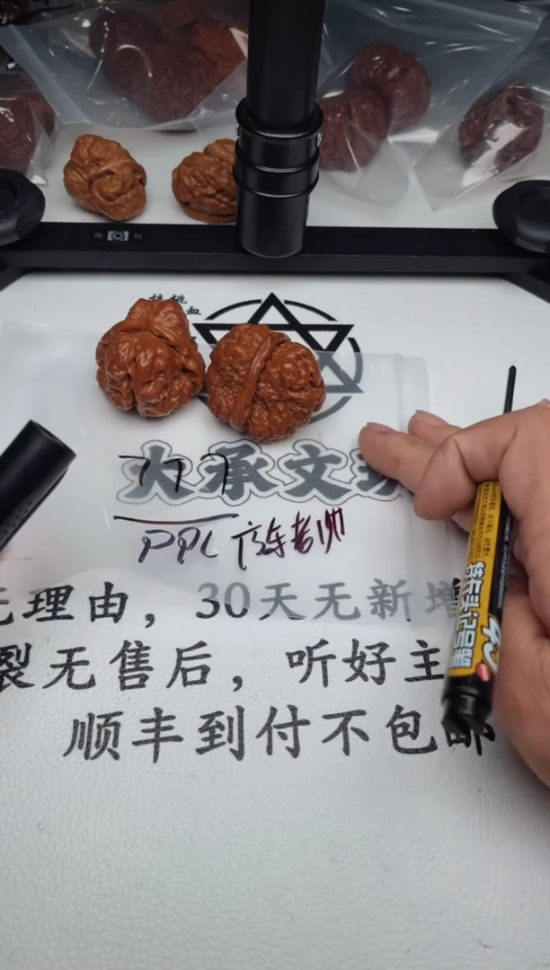 文玩核桃把件p*l0624-陈老师-ppl