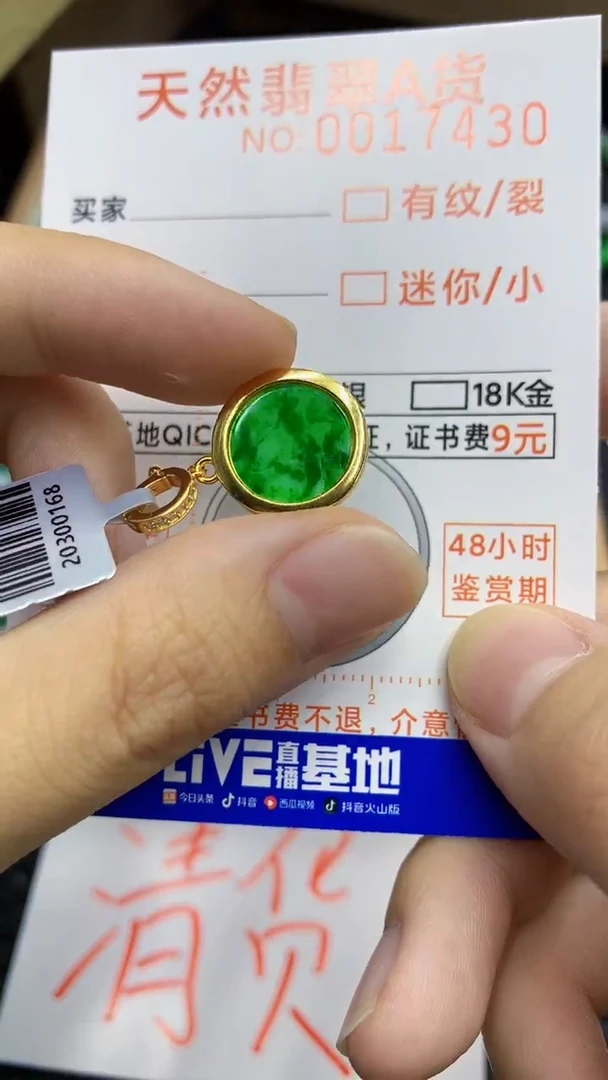 翡翠银S925镶嵌颈饰            8