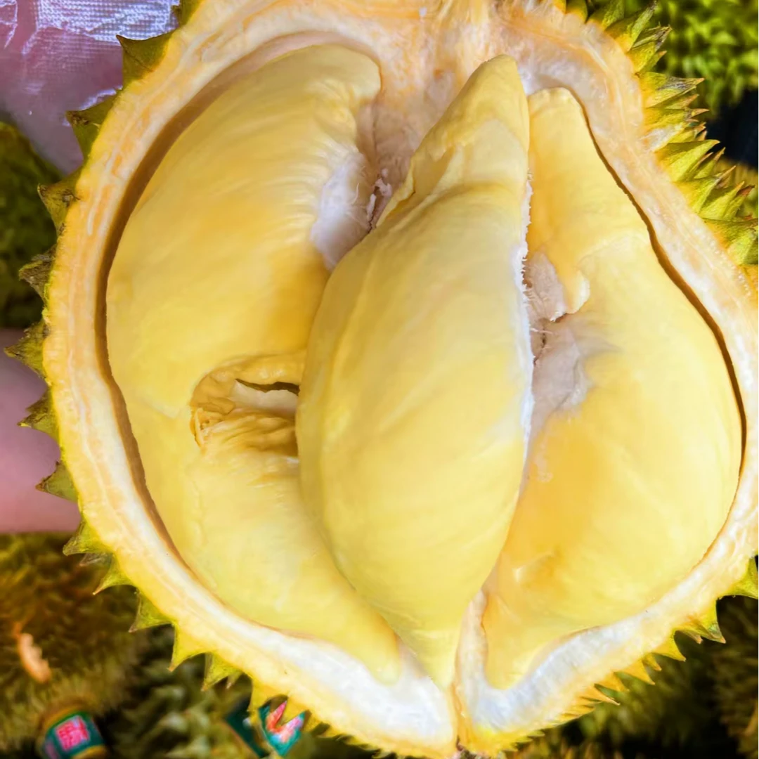 金枕榴莲1个 5斤左右 新鲜核小金枕越南