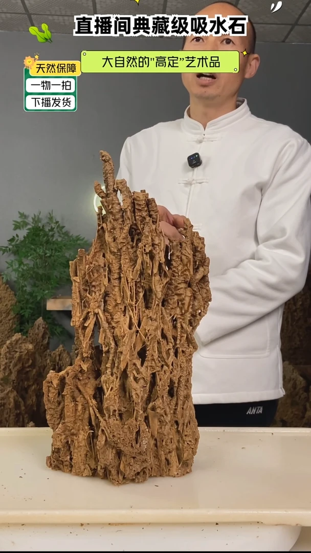 石材大*鱼天然吸水石盆景99999