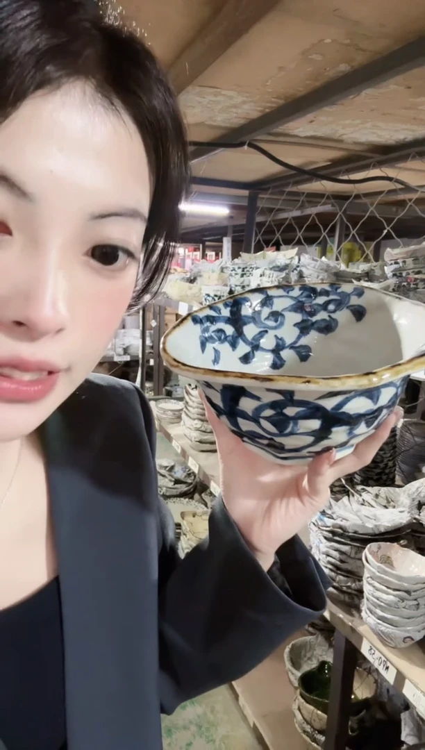 陶瓷唐草19.5cm变形面碗一个
