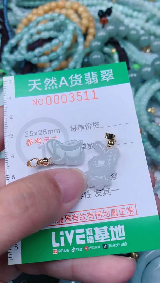翡翠未镶嵌颈饰.0003511