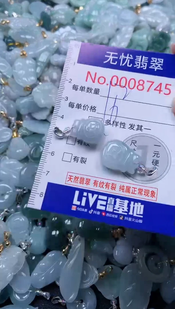颈饰未镶嵌翡翠8745