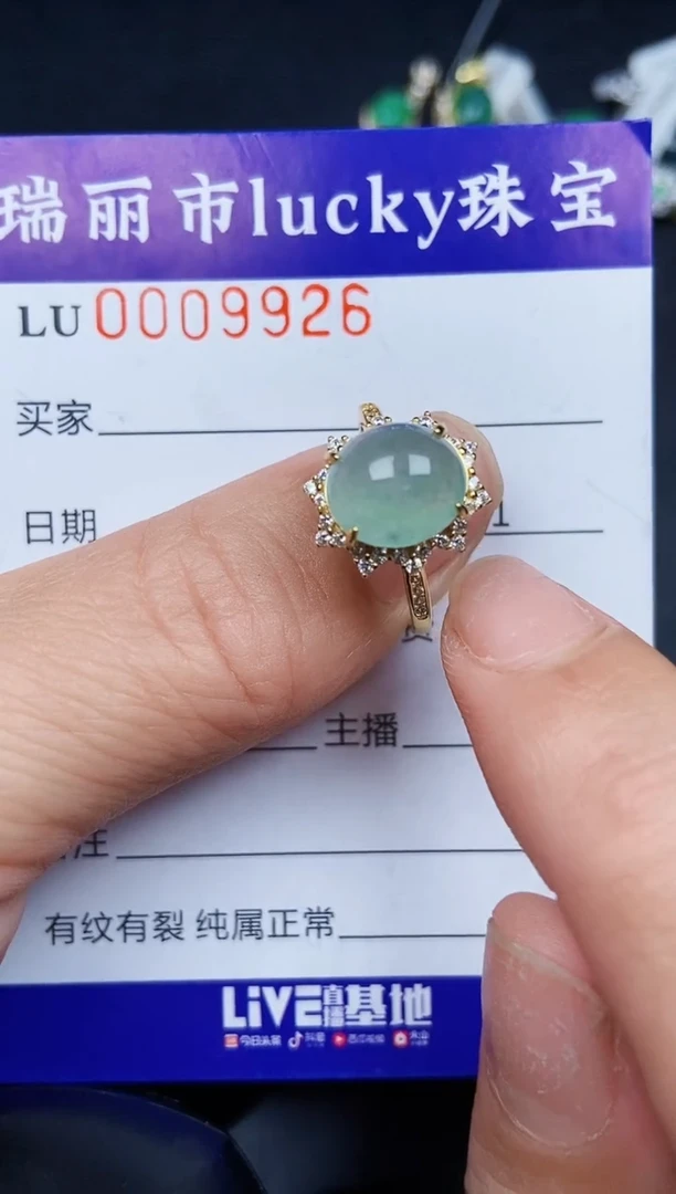 翡翠银S925镶嵌颈饰9926