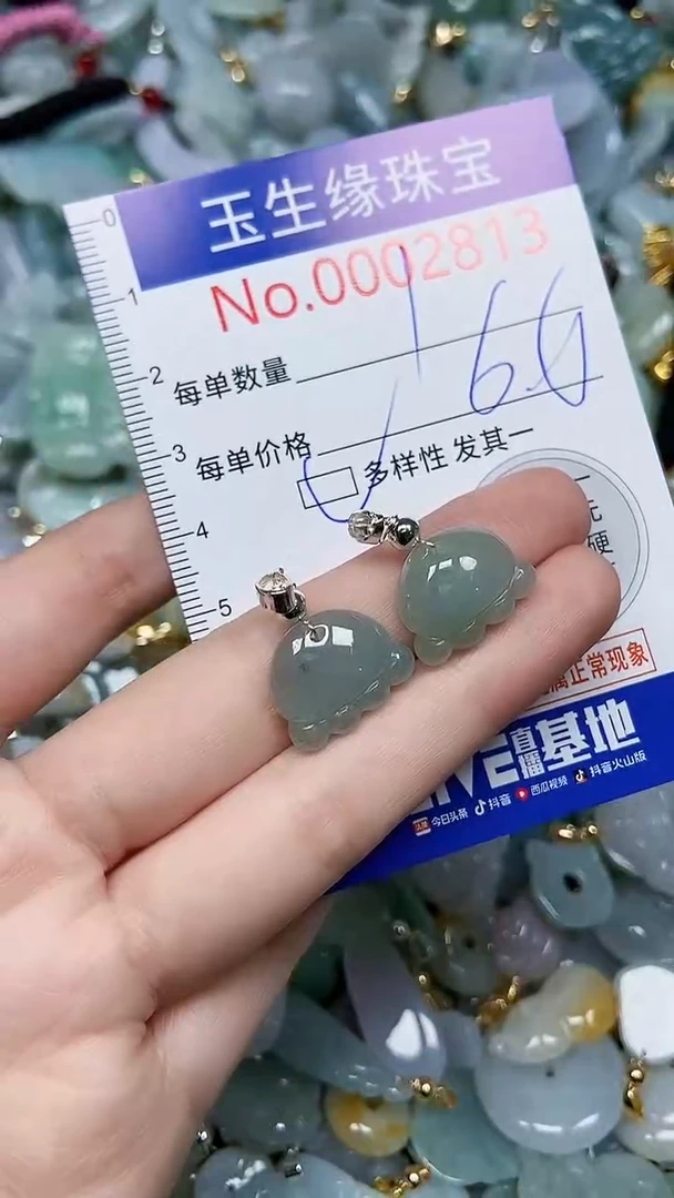【闪购商品】翡翠颈饰未镶嵌闪购00002813多样性发其一