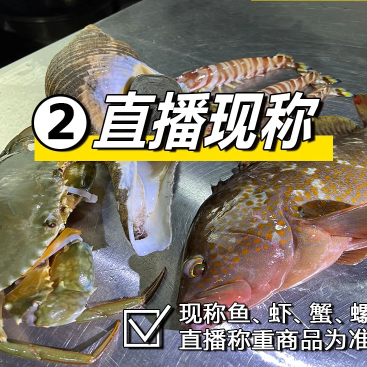 祥芝{海源活鲜}【直播现称 2 号】 鱼 虾 蟹 螺