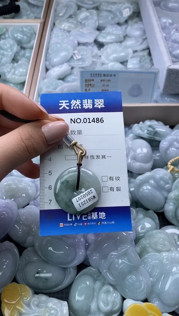 颈饰未镶嵌翡翠天然缅甸翡翠01486