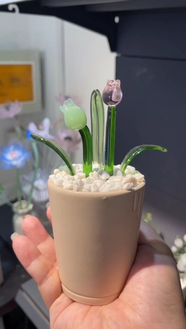 琉璃37郁金香 福利价