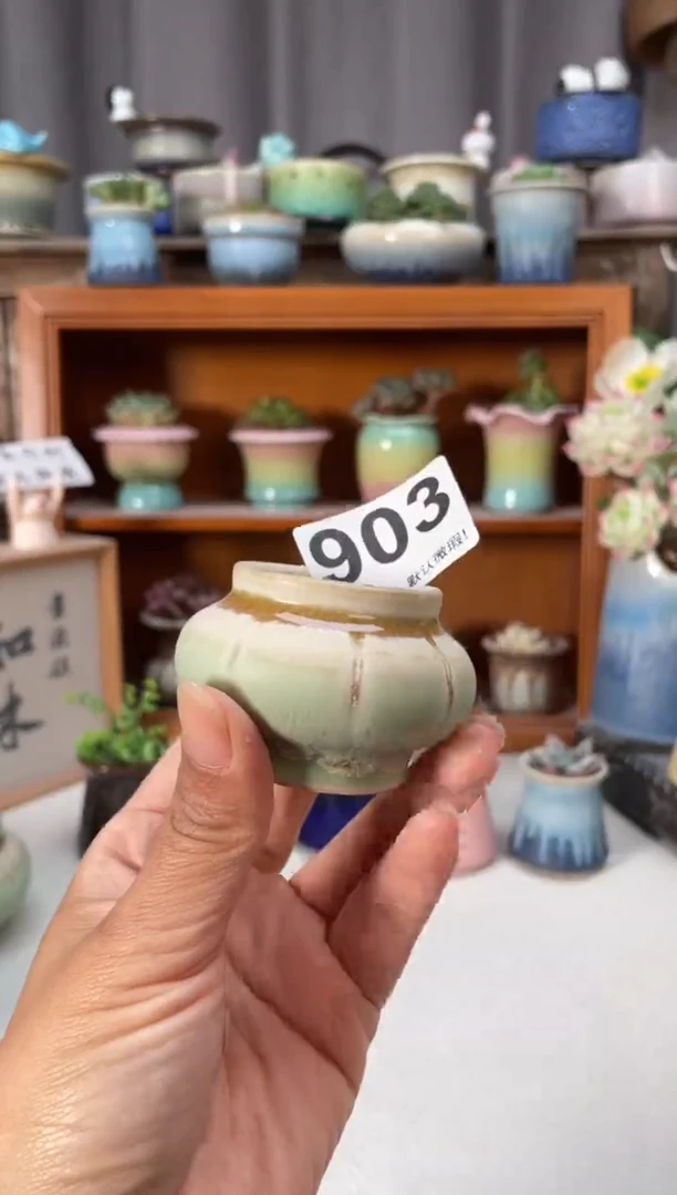 瓷片903知木小芳花盆编号