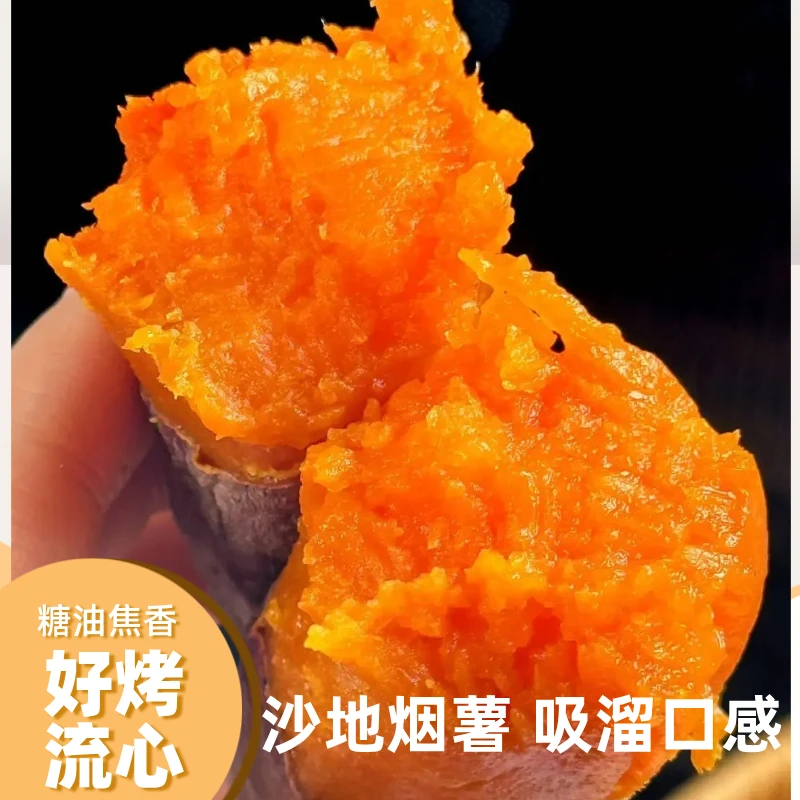 烤薯沙地烟薯内蒙番薯大果黄心蜜薯产地直发沙地蜜薯