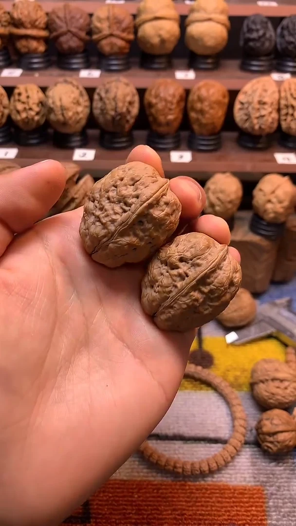 木质云铁碧根果35