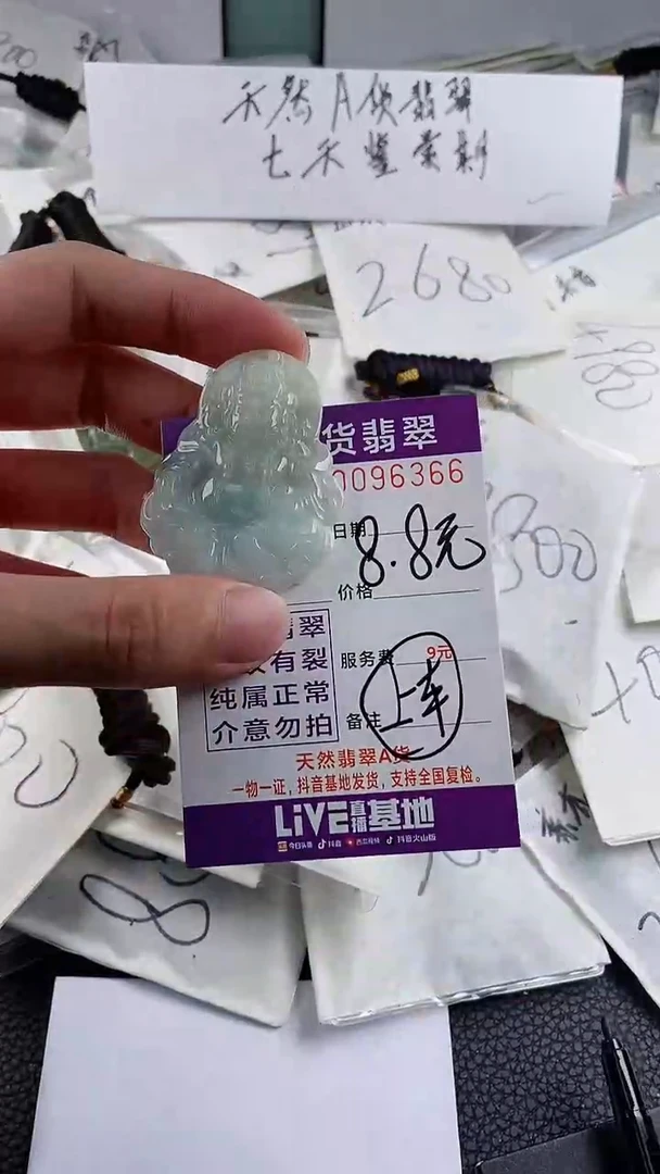 【闪购商品】翡翠颈饰未镶嵌8.8