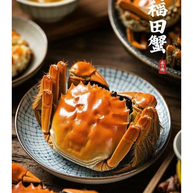 【盘锦河蟹】【母蟹】【活蟹】1.0两-0.8两  2斤 20只到25只