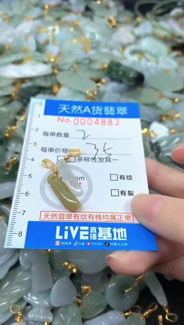 颈饰未镶嵌翡翠P***y净货挂件-4883