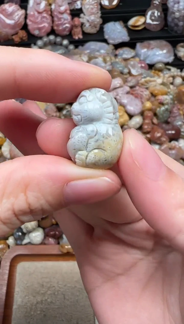 颈饰未镶嵌硅化珊瑚（珊瑚玉）779