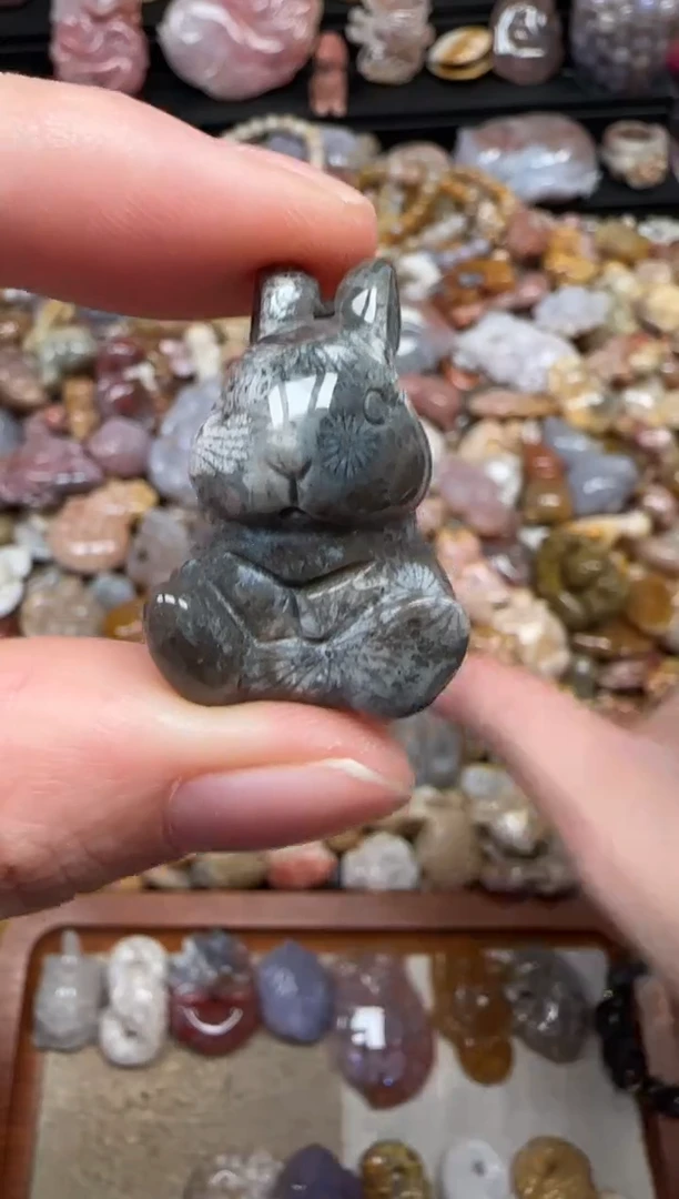 颈饰未镶嵌硅化珊瑚（珊瑚玉）612