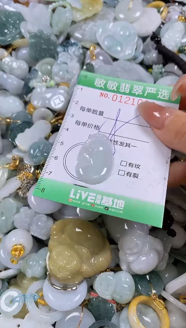 【闪购商品】翡翠颈饰未镶嵌闪购0121080
