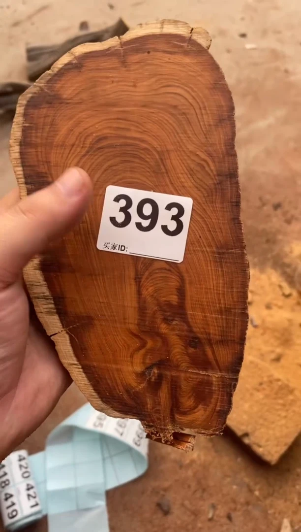 柏木（崖柏）太行山陈化崖柏一片