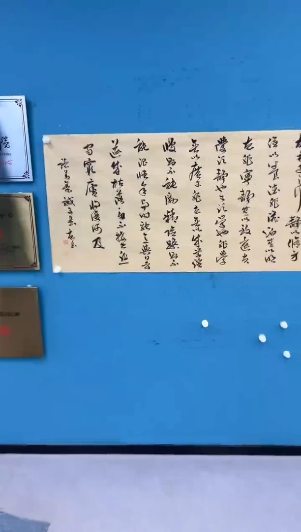 国画9.13-珍品-袁志良-宣纸-（不带国检）