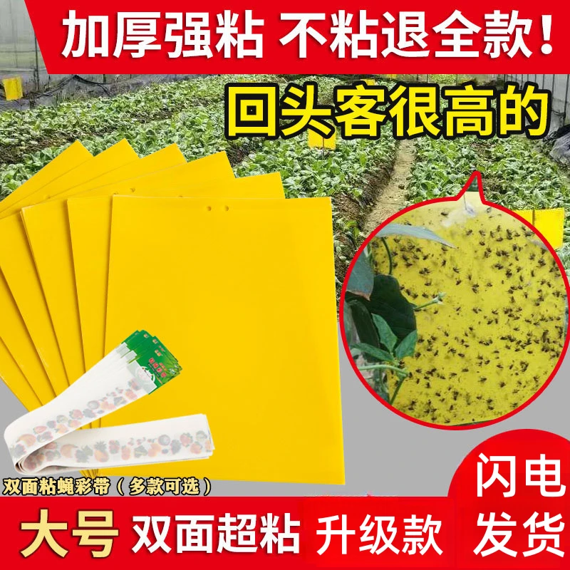 粘虫板黄板双面小飞虫灭杀道具大棚灭苍蝇贴纸果园果蝇蚊子诱捕器