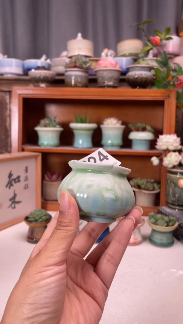 瓷片624知木小芳花盆直播编号