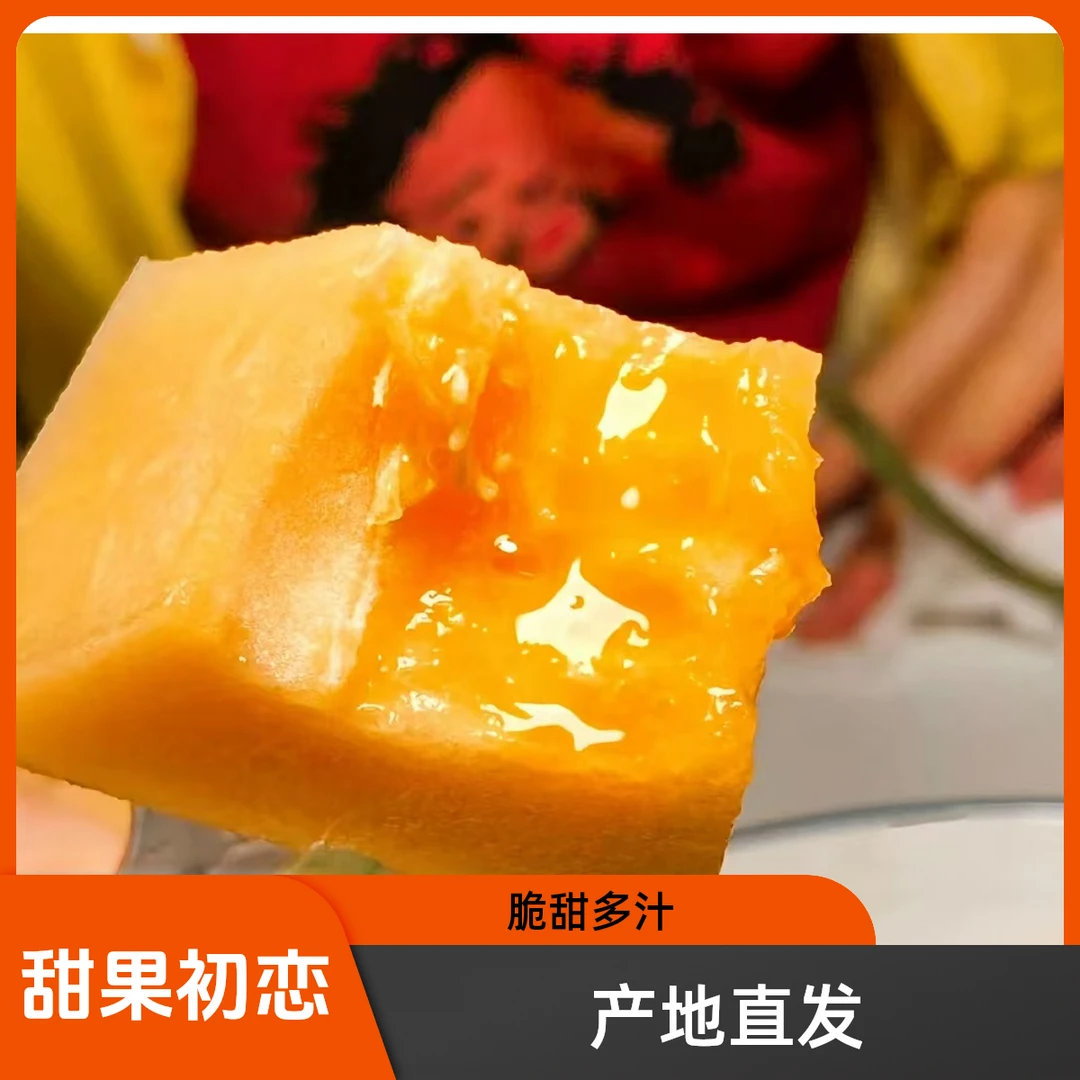 正宗产地哈密瓜新疆吐鲁番直发西州蜜25号