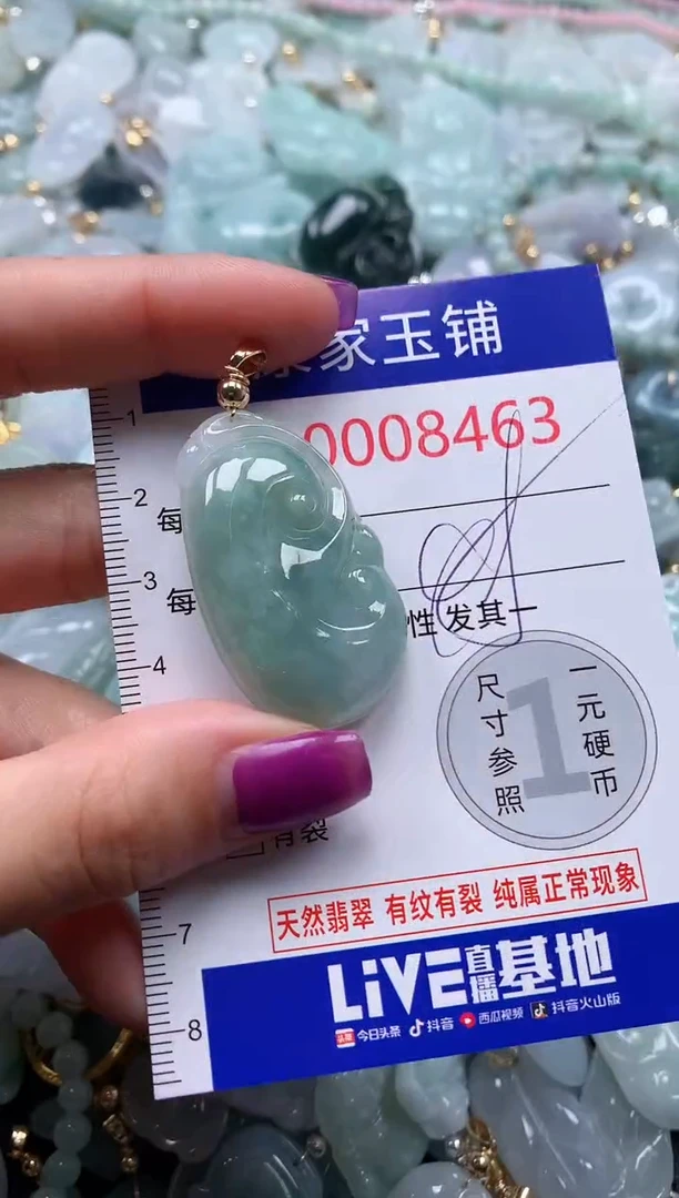 颈饰未镶嵌翡翠8463